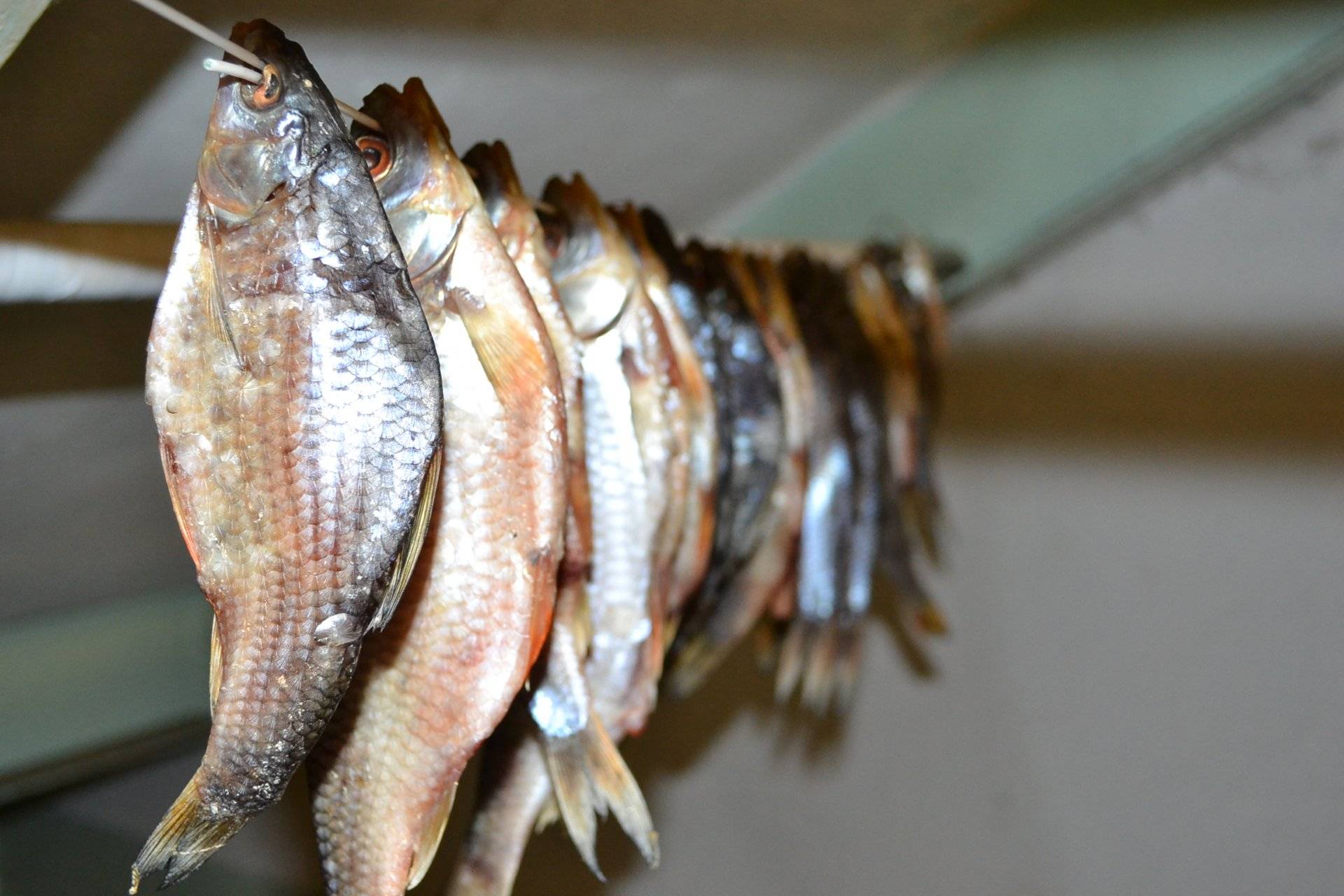 Как вялить рыбу - идеальный рецепт